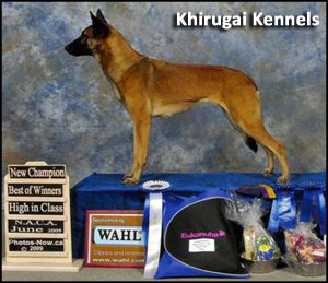 Khirugai Kennels