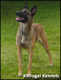 Khirugai Kennels