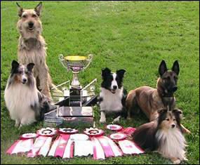Khirugai Kennels Reg'd