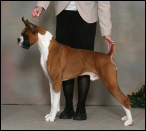 Lookaway Kennels