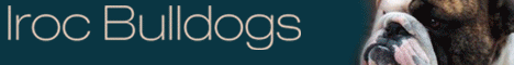 Iroc Bulldogs