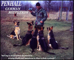 Penhall German Shepherds