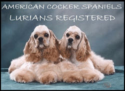 Lurians Kennel Registered