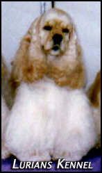 Lurians Kennel Registered