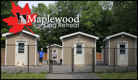 Maplewood Dog Retreat