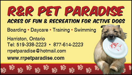 Ontario Trainers - R & R Pet Paradise