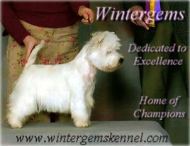 Wintergems (Reg'd) Kennel
