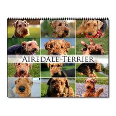 Airedale Terrier Haircut