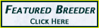Featured Breeder