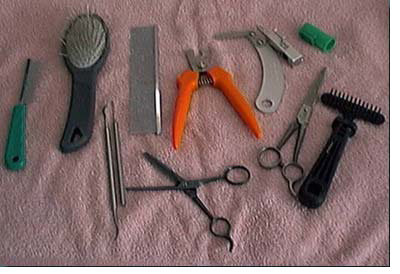 Grooming Equipment