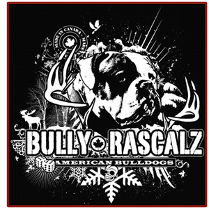 American Bulldog Breeder - Bully Rascalz American Bulldogs