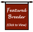 Featured Breeder