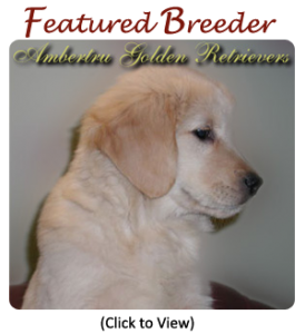 Featured Breeder