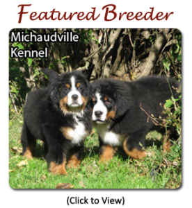 Featured Breeder - Michaudville Kennel