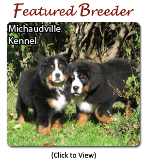 Cascade shop mountain kennels