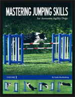 Mastering Jumping Skills