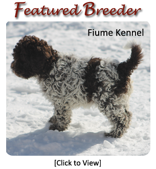 Fiume kennels 2025