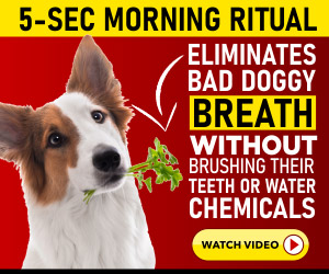 Fresh Breathies - Pup Labs