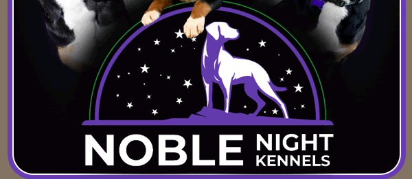 Noble Night Kennels